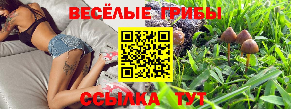 Псилоцибиновые грибы мицелий Алексеевка